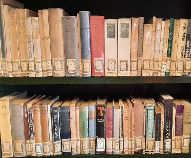 Biblioteca dannunziana
